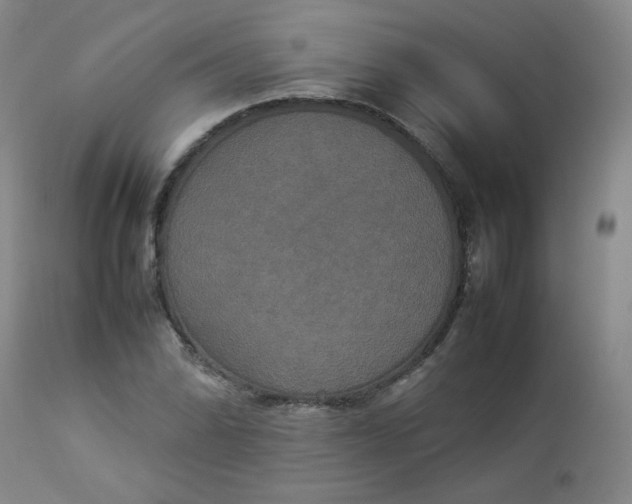 X0000112831070200909111352