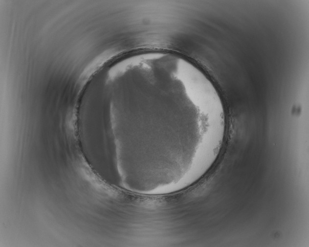 X0000112831074200909111352