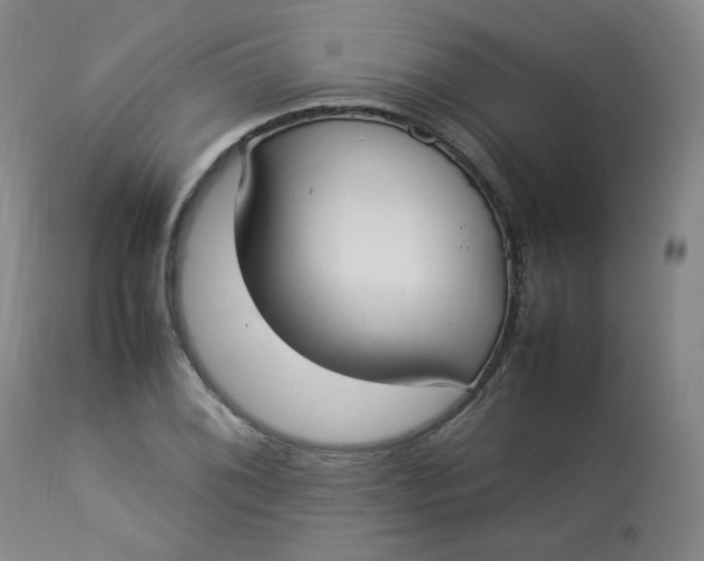 X0000112831076200909111352