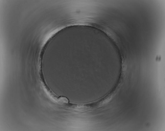 X0000112831077200909111352