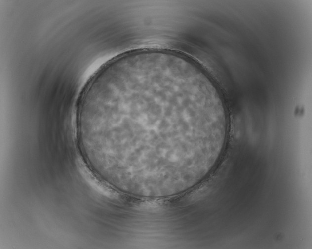 X0000112831078200909111352