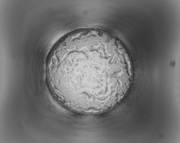 X0000112831079200909111352