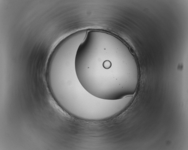 X0000112831080200909111352