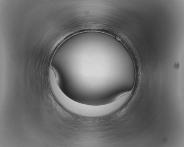 X0000112831081200909111352