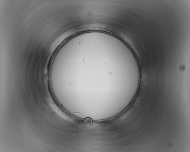 X0000112831082200909111352