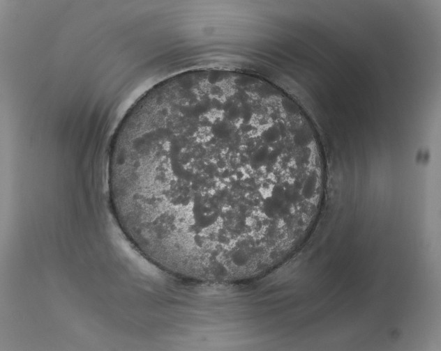 X0000112831083200909111352