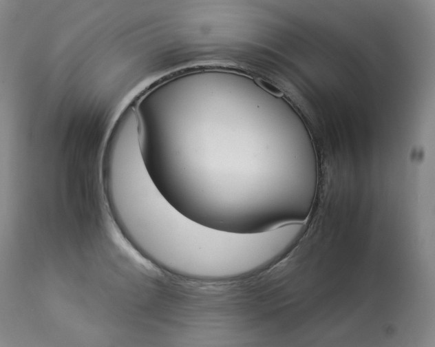 X0000112831084200909111352