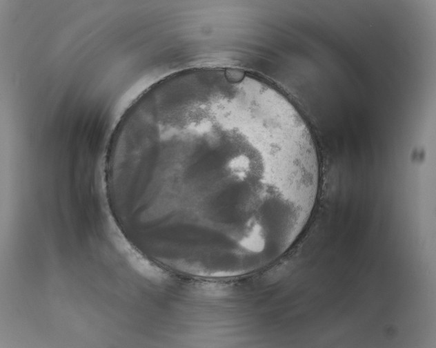 X0000112831086200909111352