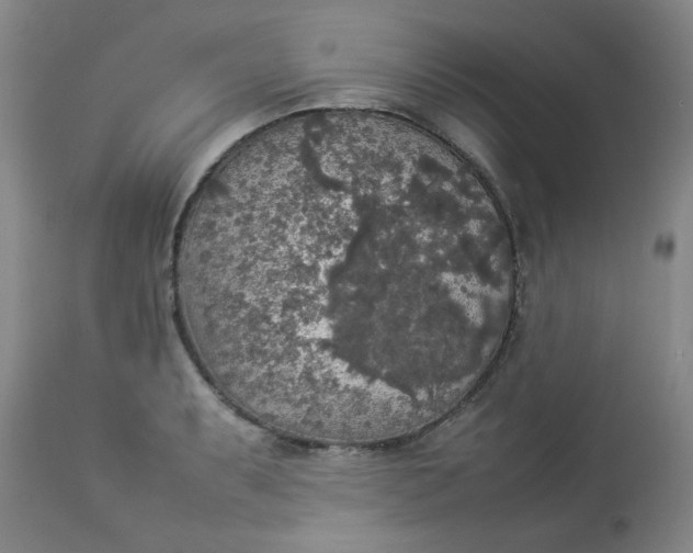 X0000112831087200909111352