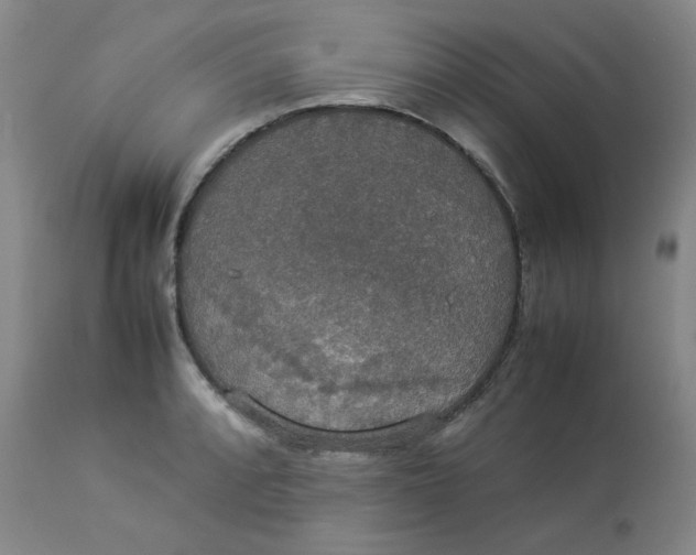 X0000112831088200909111352