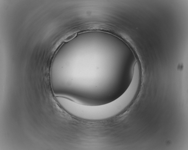 X0000112831089200909111352