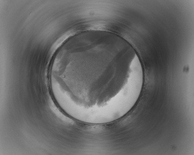 X0000112831090200909111352