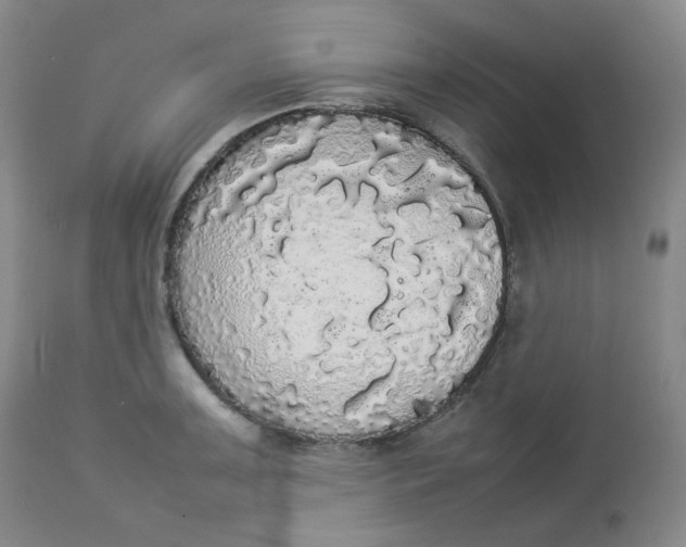 X0000112831091200909111352