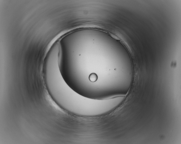 X0000112831092200909111352