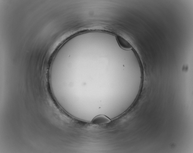 X0000112831093200909111352