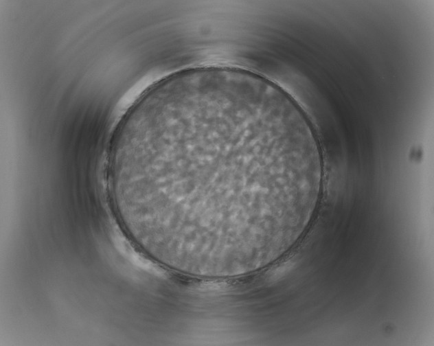 X0000112831094200909111352