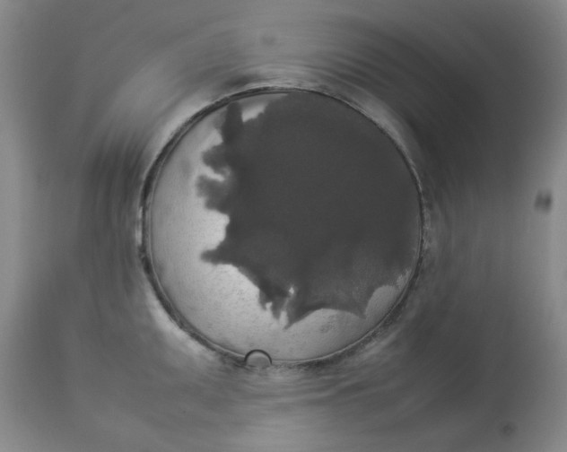 X0000112831095200909111352