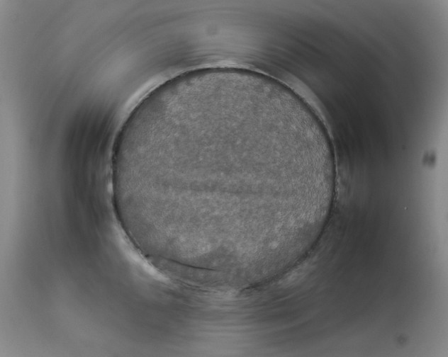 X0000112831096200909111352