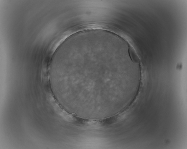 X0000112831097200909111352