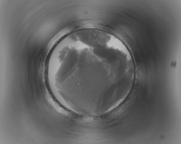 X0000112831098200909111352