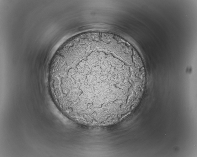 X0000112831099200909111352