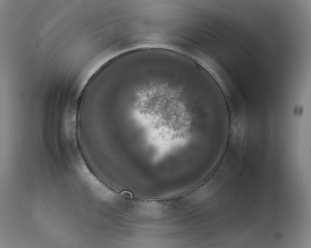 X0000112831100200909111352