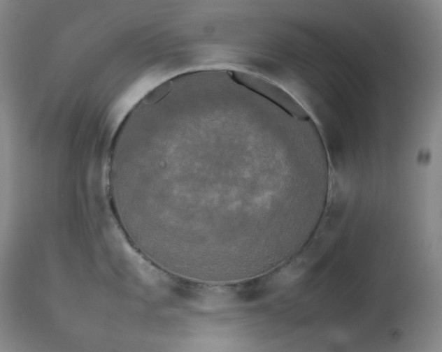 X0000112831101200909111352