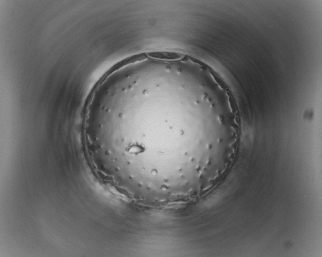 X0000112831102200909111352