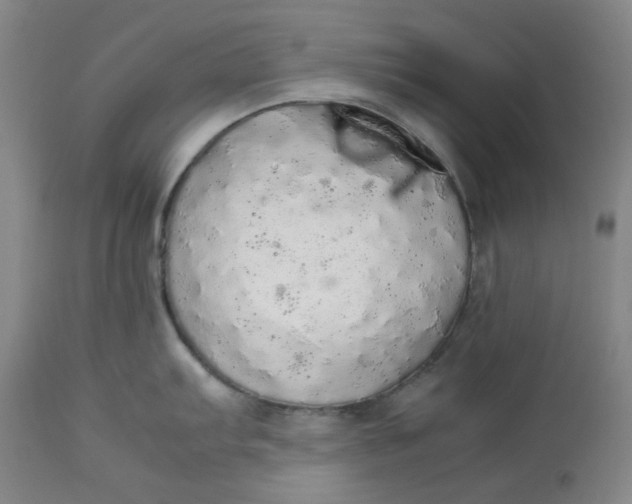 X0000112831103200909111352