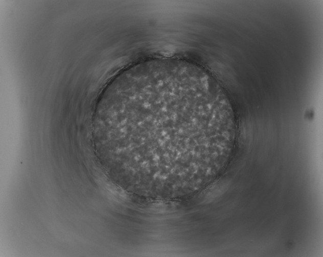 X0000112831105200909111351