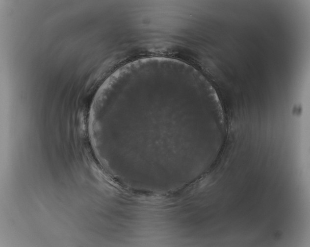 X0000112831106200909111351