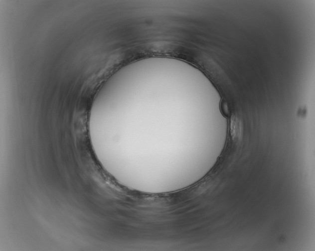 X0000112831107200909111351