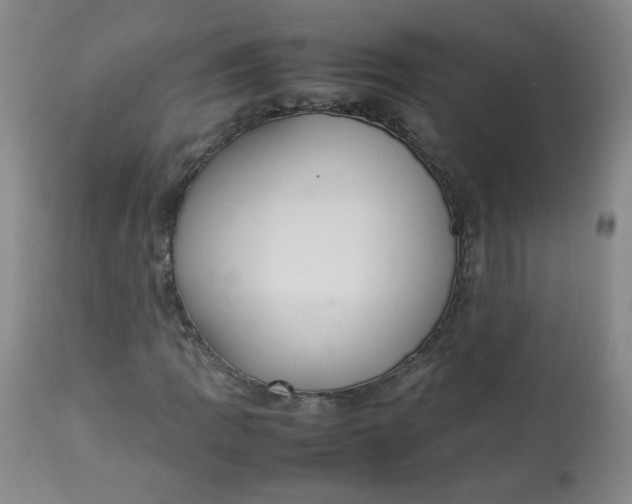 X0000112831109200909111351