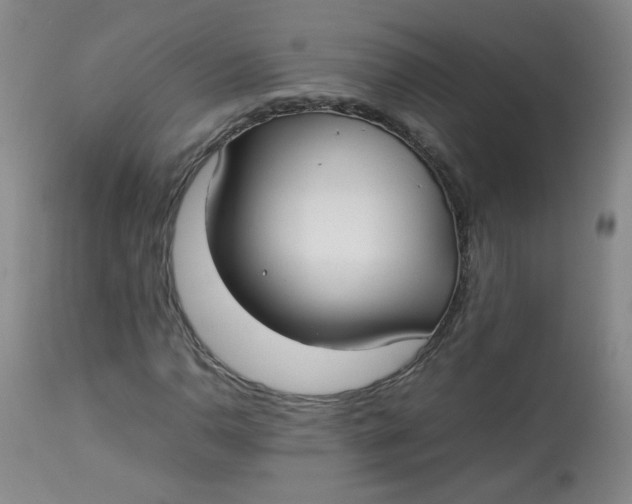 X0000112831110200909111351