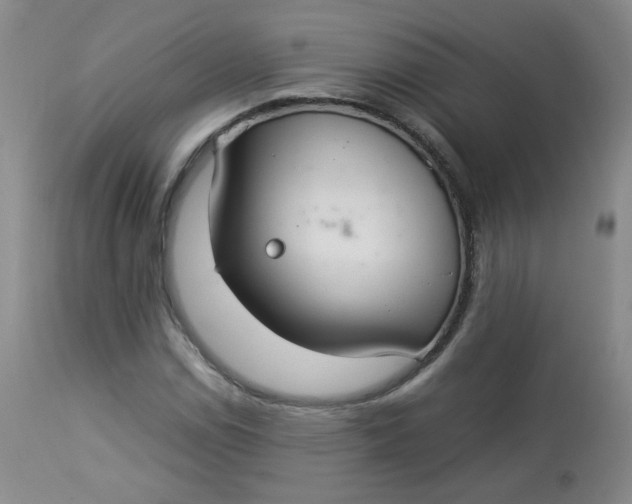 X0000112831114200909111351