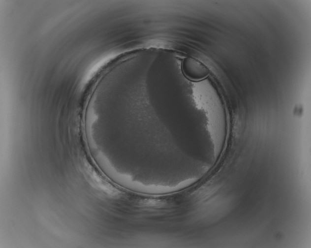 X0000112831115200909111351