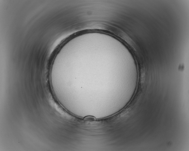 X0000112831116200909111351