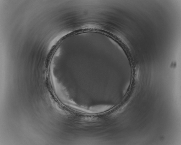 X0000112831117200909111351