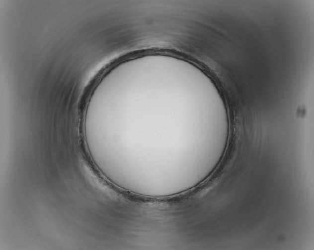 X0000112831118200909111351