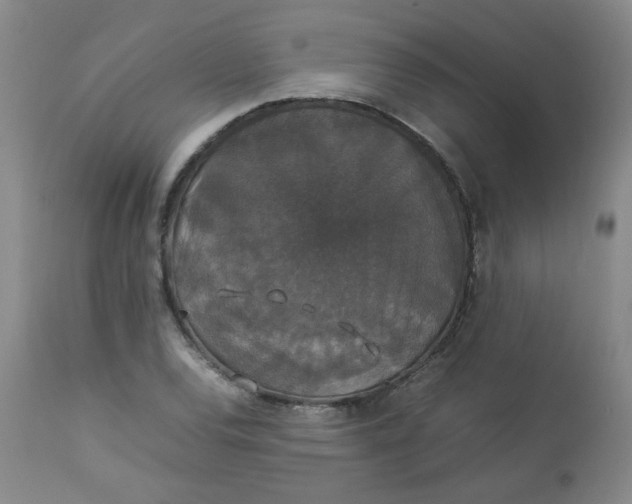 X0000112831120200909111351