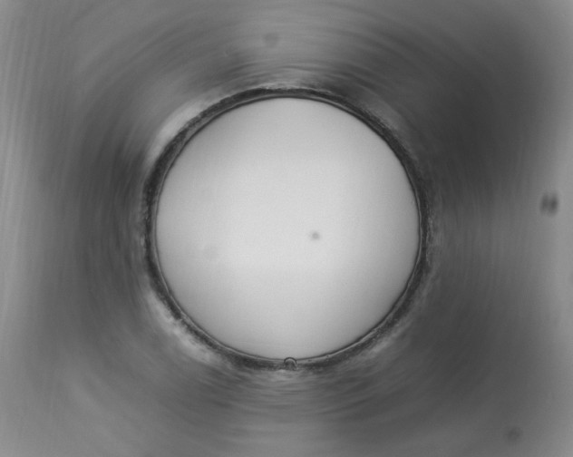 X0000112831122200909111351