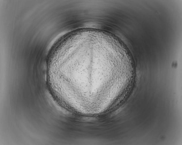 X0000112831123200909111351