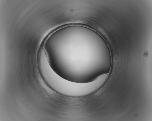 X0000112831124200909111351