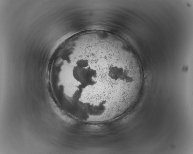 X0000112831125200909111351