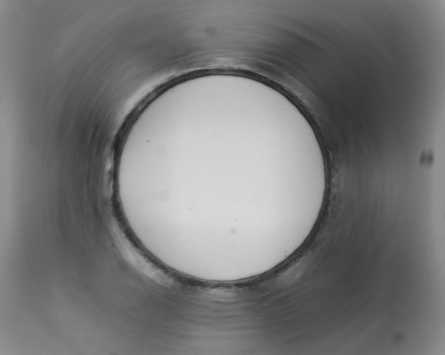 X0000112831126200909111351