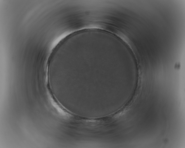 X0000112831127200909111351