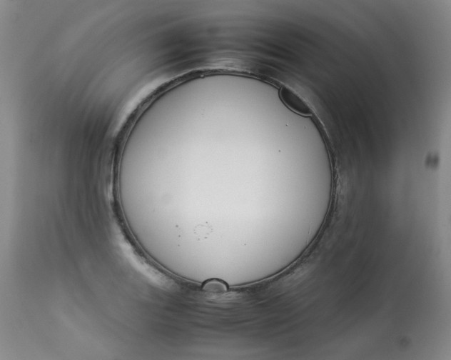 X0000112831131200909111351