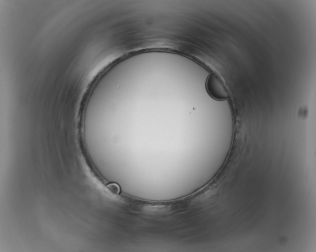 X0000112831135200909111351