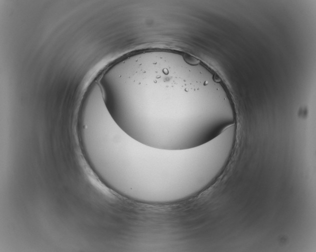 X0000112831136200909111351