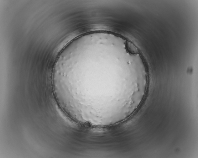 X0000112831137200909111351